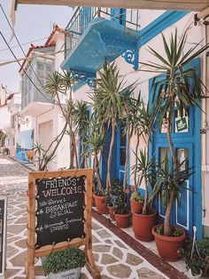 there are many potted plants in front of the building that is painted blue and white