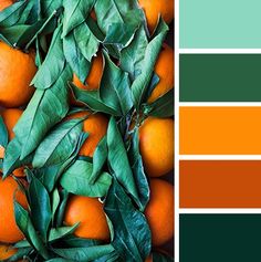 there are many oranges with green leaves in the color scheme, and one is red