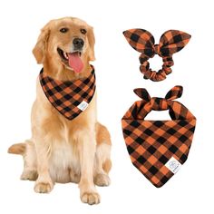 a dog wearing an orange and black buffalo plaid bandana, necktie and headband