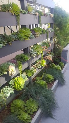 an outdoor planter filled with succulents and greenery on the side of a building