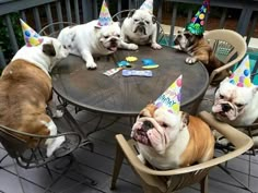 four dogs are sitting around a table with birthday hats on their heads and one dog is laying down