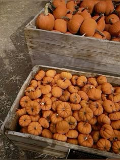 two wooden boxes filled with lots of pumpkins