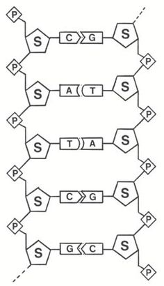 the diagram shows three different types of lines that are connected to each other and have letters on them