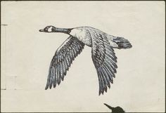 a drawing of a bird flying in the sky