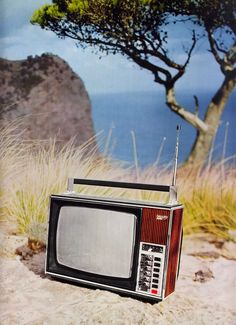 an old tv sitting in the sand next to a tree and beach with water behind it