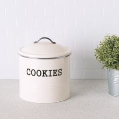 a cookie tin next to a potted plant on a counter with the word cookies printed on it