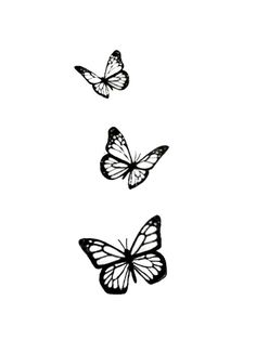 three butterflies flying in the air