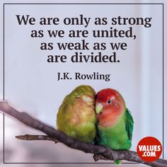 two colorful birds sitting on top of a tree branch with a quote below it that reads, we are only as strong as we are united, as weak as we