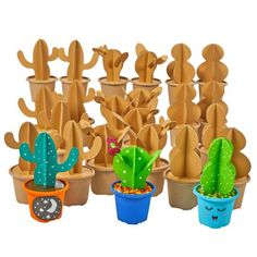 there are many small cactus plants in the potted planters, each with different shapes and sizes