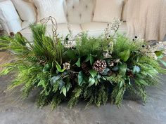 an arrangement of greenery and pine cones sits on the floor in front of a couch