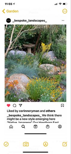 an instagram page with flowers and rocks in the background