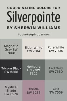 Silverpointe SW 7653  Coordinating Colors by Sherwin-Williams Earl Gray Sherwin Williams, Homburg Gray, Fireplace Paint, Coordinating Paint Colors, Magnetic Gray, Eider White, Tricorn Black