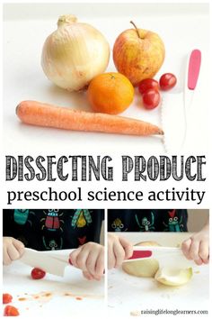 a collage of pictures showing how to make dissecting produce for preschool science