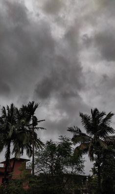 dark clouds loom over some palm trees on a cloudy day