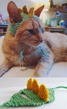 the cat is wearing a crocheted hat that looks like a dragon's head