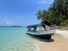 a boat that is sitting in the water near some sand and palm tree's