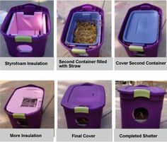 an instagram page with pictures of cats in purple containers and text that reads, kentucky humane society community