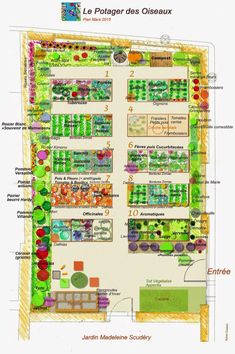 a garden plan with lots of different plants