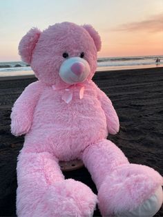 a pink teddy bear sitting on the beach