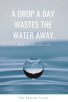 World Water Day Slogans, Water Pollution Slogan, Slogan On Save Water, Water Pollution Quotes, Water Conservation Slogans, Save Water Quotes, Save Water Slogans, Water Conservation Poster, Water Slogans