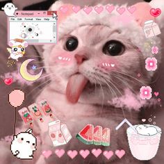 a white cat sticking its tongue out in front of a computer screen with various stickers on it