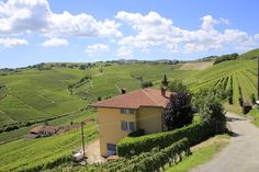 an aerial view of a house in the middle of a vineyard