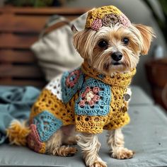 a small dog wearing a crocheted sweater and hat on top of a couch