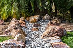 rocks and gravel in a garden with palm trees