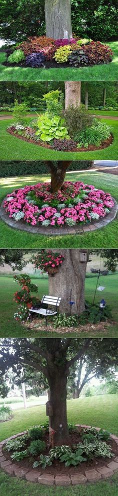 four different views of a tree with flowers in the middle and on the other side