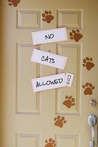 the door is decorated with cat footprints and no cats allowed signs