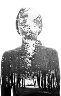 an instagramr with the image of a person's face and trees