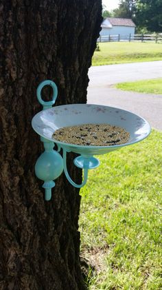 a bird feeder hanging from the side of a tree