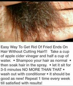 Dry Hair Ends, Fizzy Hair, Top Diy, Healthy Hair Tips, Hair Remedies, Natural Hair Tips, Hair Growth Tips, Hair Repair, Diy Hair