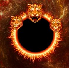 an image of three tigers in the middle of a fire ring with flames around them