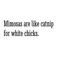 the words minnesota are like catip for white chicks