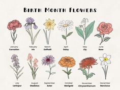 an image of birth month flowers