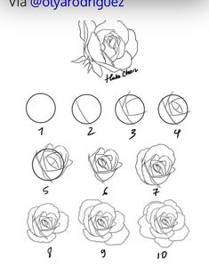 how to draw a rose step by step