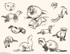 an image of some animals that are drawn in pencil