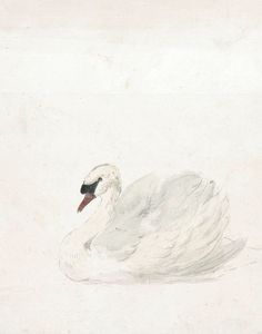 a drawing of a white swan with red beak