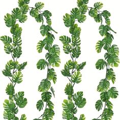 green leaves are arranged in rows on a white background