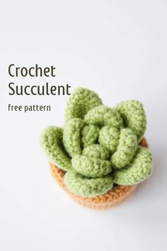 a crochet succulent is sitting in a small bowl on a white surface