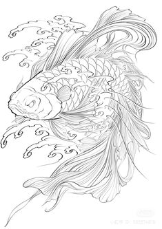 Japanese Fish Tattoo, Skull Artwork Illustrations, Japanese Koi Fish Tattoo, Koi Tattoo Sleeve, Blossom Tree Tattoo, Dragon Tattoo Sketch, Koi Tattoo Design, Koi Fish Drawing