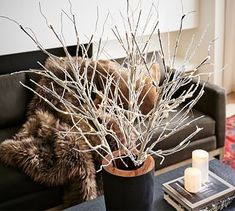 a living room with a couch, coffee table and white branches in a black vase