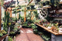 a room filled with lots of potted plants next to a brick floor covered in greenery