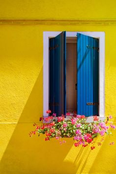 a window with blue shutters and pink flowers