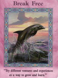 a book cover for the magic mermaids and dolphins by dren virtue