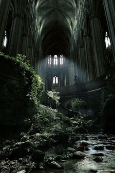 the interior of an old cathedral with moss growing on the rocks and water running through it