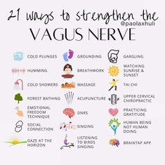 The Vagus Nerve