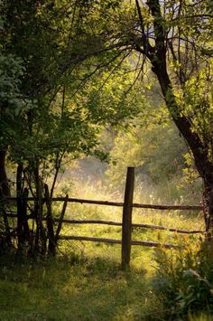 a wooden fence surrounded by trees and grass