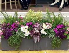 a window box filled with purple and white flowers